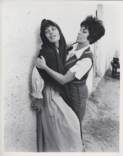 Vintage press photograph - photograph,